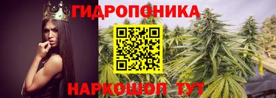стафф Абакан