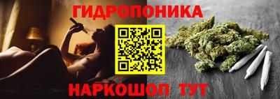 стафф Абакан