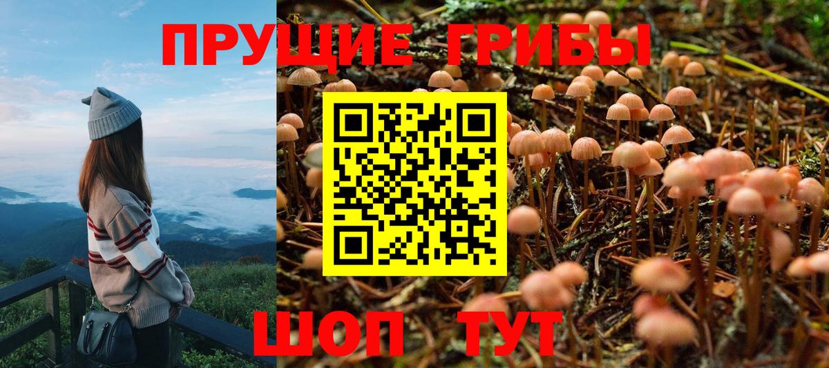Алатырь  Псилоцибиновые грибы Cubensis  Галлюциногенные грибы мицелий  как найти наркотики  Вход с VPN 